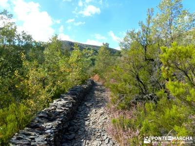 Ocejón - Sierra de Ayllón; viajes semana santa excursiones cerca de madrid rutas de senderismo